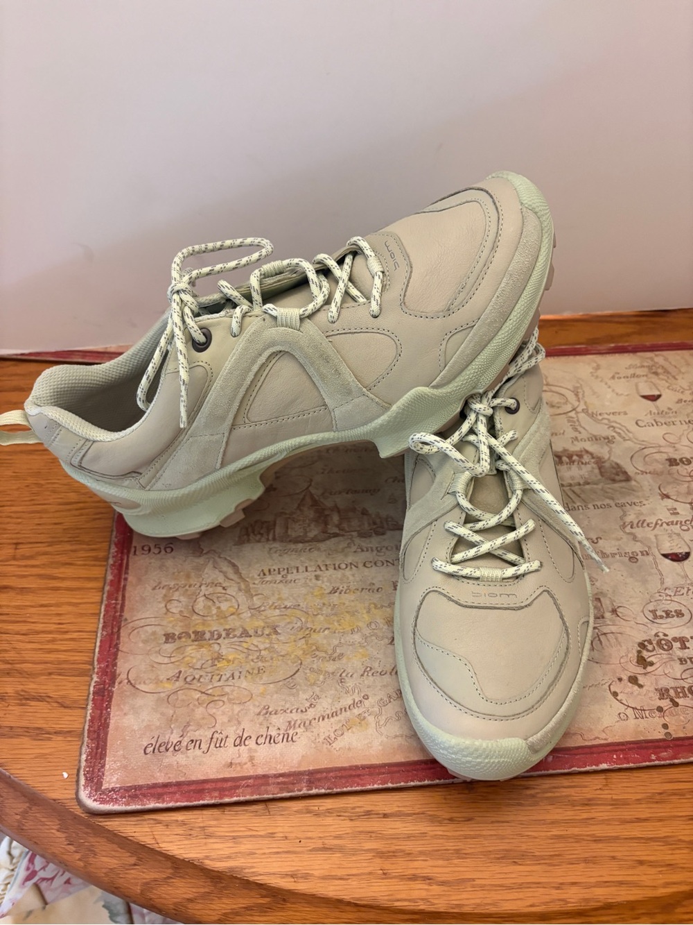 ECCO Biom 2.1 Low Trail Hiking/Running Shoes